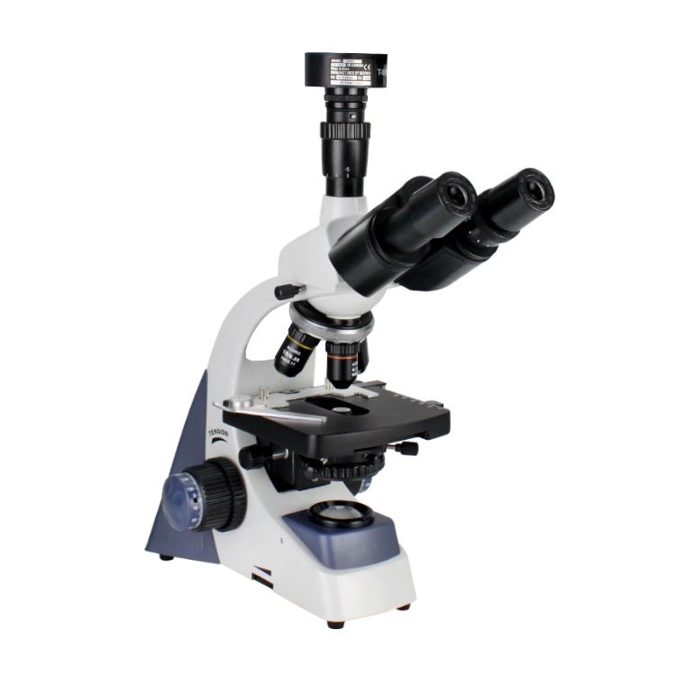 XSP500型系列生物kaiyun电子